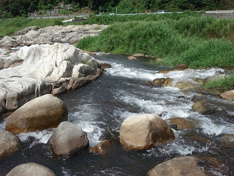 0228003.jpg