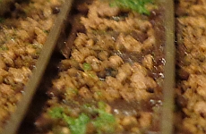 0305001.jpg