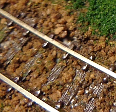 0305005.jpg