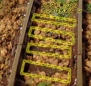 0305006.jpg