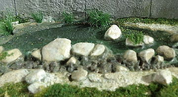 0313-006.jpg
