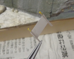 0317010.jpg