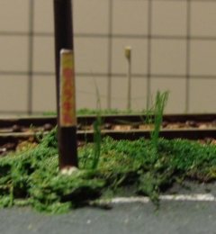 0328016.jpg