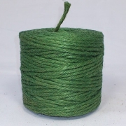asanohimo180.jpg