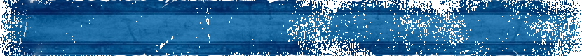 Ribon-Basic-2.png