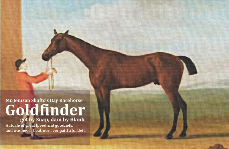 ファイル:Goldfinder 1770-900.jpg