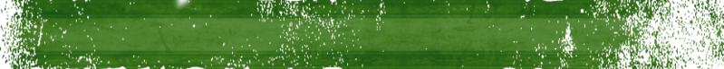 ファイル:Ribbon-chihou-3-green.png