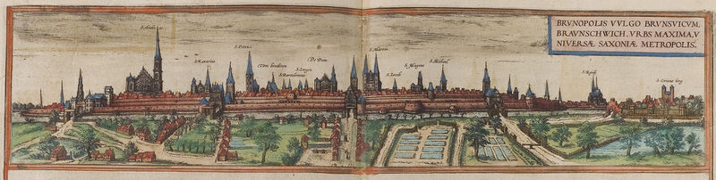 ファイル:Braun Braunschweig UBHD.jpg