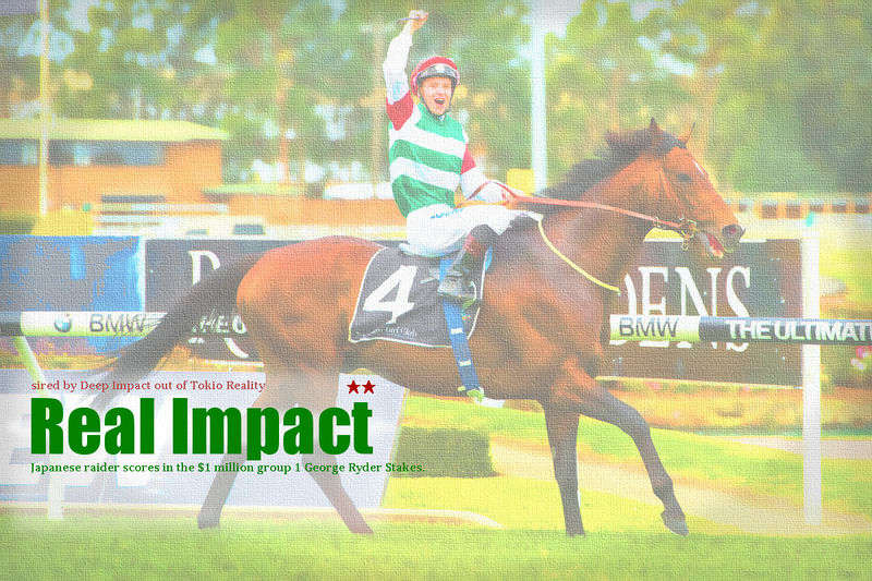 ファイル:GR-Realimpact.jpg
