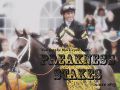 2016年4月16日 (土) 21:09時点における版のサムネイル