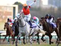 2020年1月3日 (金) 02:39時点における版のサムネイル