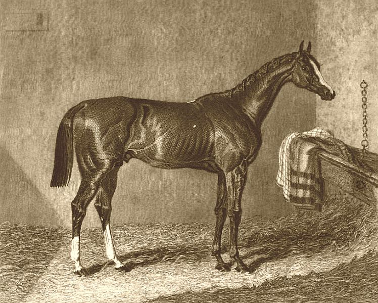 ファイル:Elis1833b.jpg