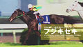 Fujikiseki-asahihai-900i.jpg
