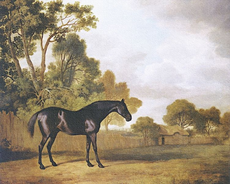 ファイル:Snap at Farm 1771-900.jpg