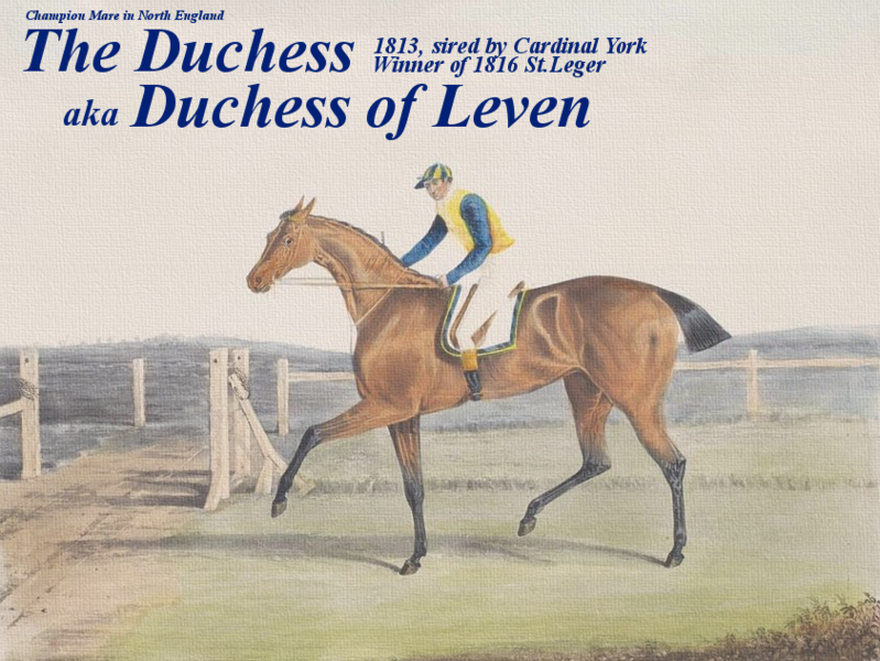 ファイル:The Duchess1813.png